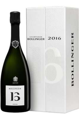 Bollinger B16